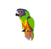 Senegal Software logo